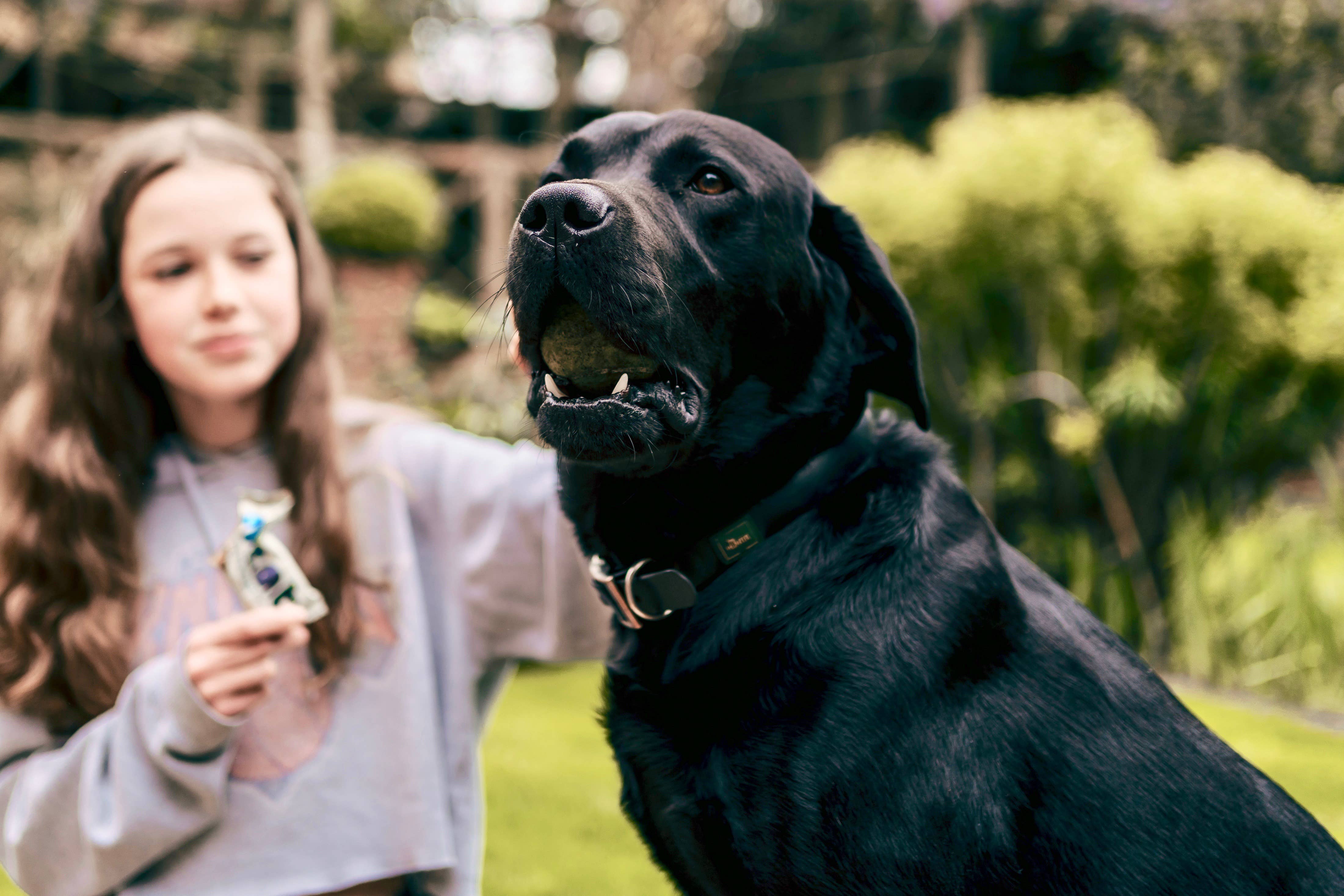 Jenks Brands Limited – wholesale Snack bar – N'eat Natural Energy Bananas & Chia Seeds Bars 16x45g2