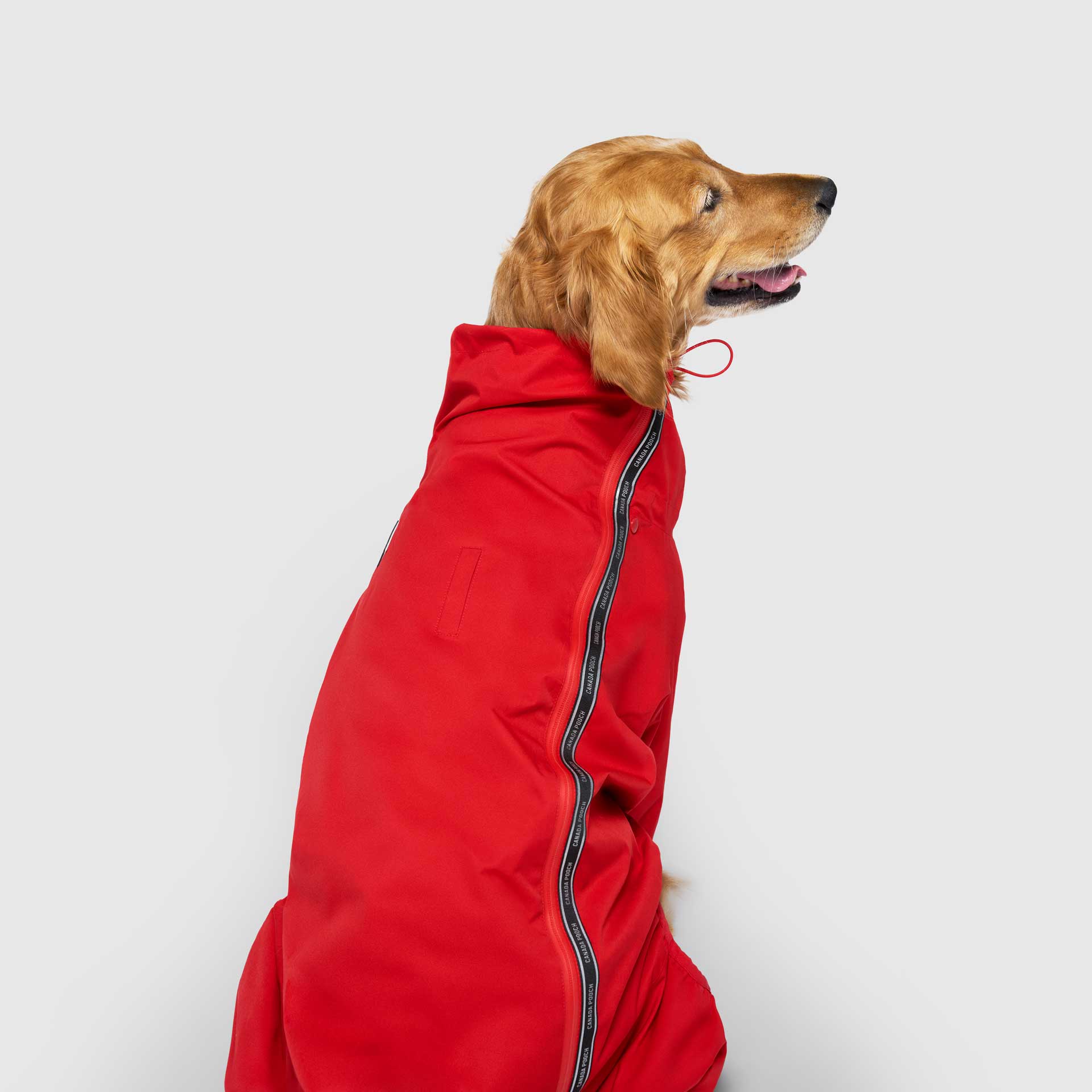 Canada Pooch – wholesale Overall

 - Katt och hund – The Slush Suit – hundoverall14