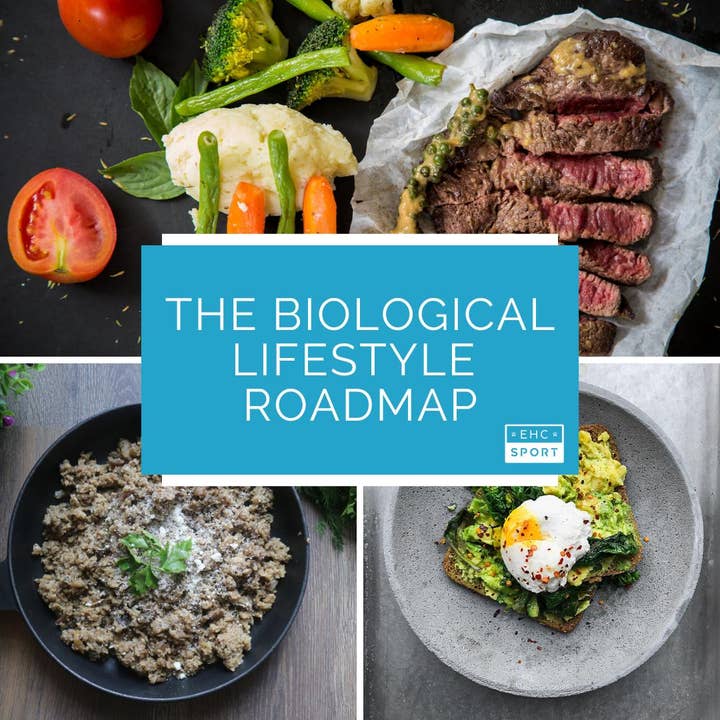 EHC Sport - Wholesale Oral Supplement/Vitamin - EHC Performance Consultancy: Because Guesswork Won’t Get You There1