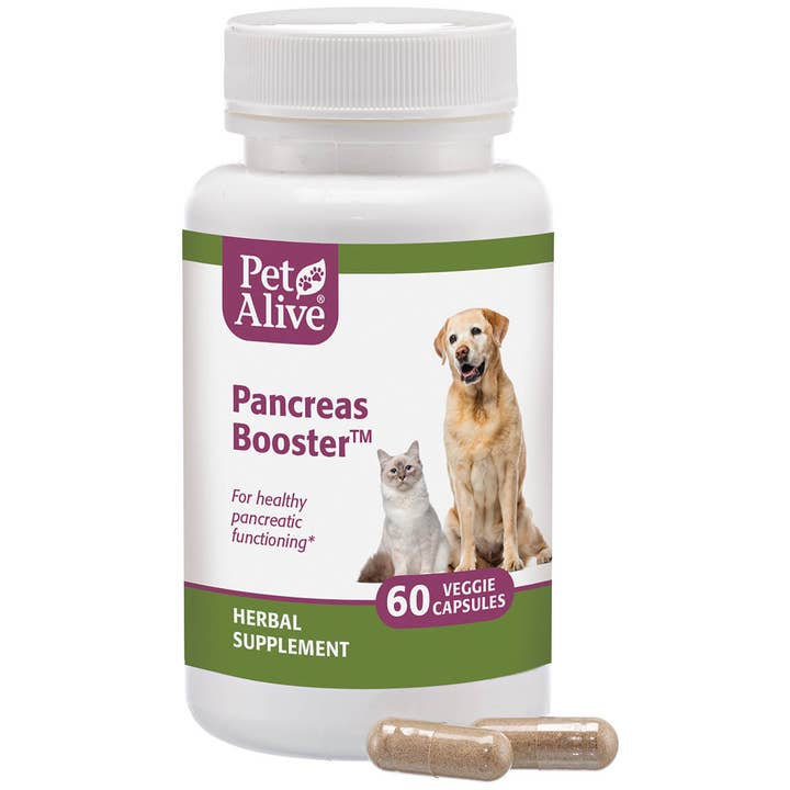 Pet Alive - Wholesale Pet Supplement - Cat/Dog - PetAlive® Pancreas Booster™