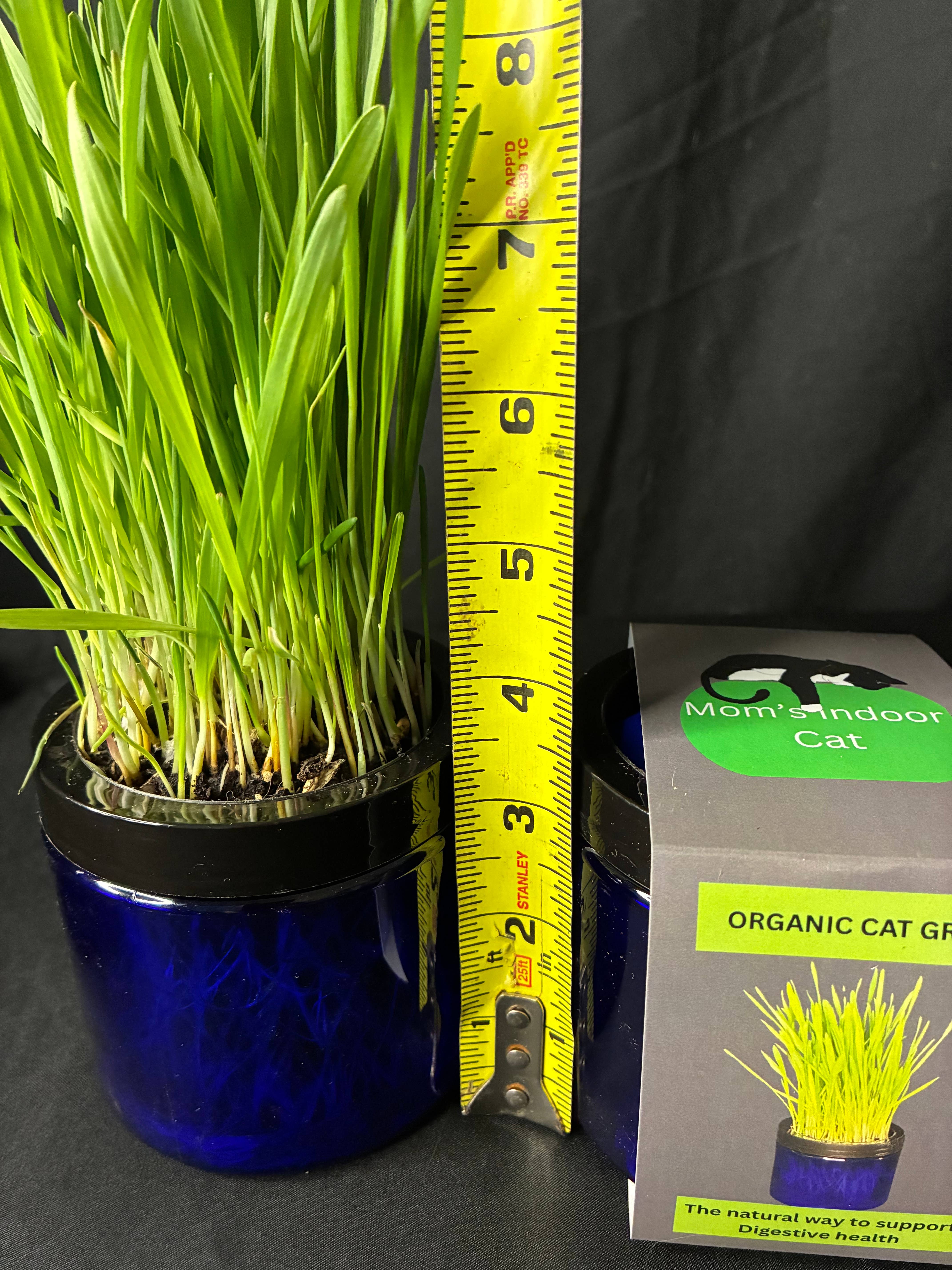 Mom’s Indoor Cat - Wholesale Pet Treats - Cat - Modern Organic Cat Grass Garden in Stylish Jar 1/2 case2