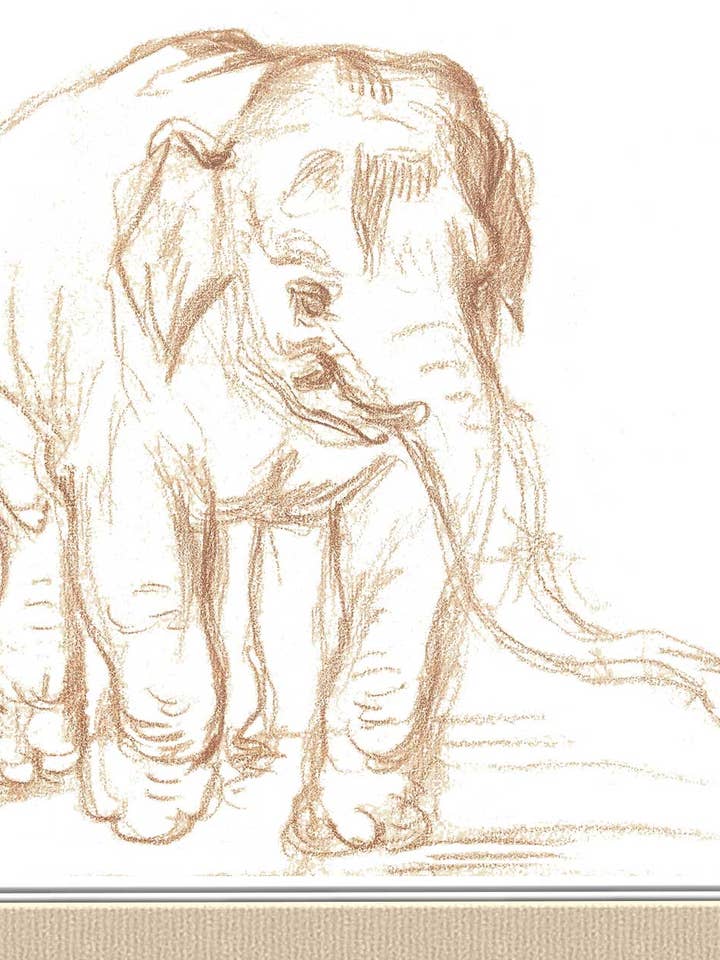 Corri per Joy per la vendita all'ingrosso da parte di Finalina