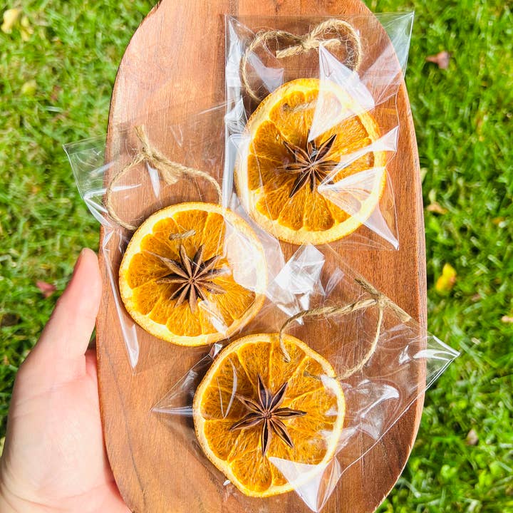 Only Crystals Remain - Wholesale Ornament - Orange & Star Anise Prosperity Star Yule Ornaments1