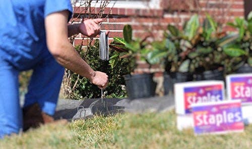 Ashman Online - Wholesale Garden Tool - Ashman 6 Inch Landscape Staples, 100 count4