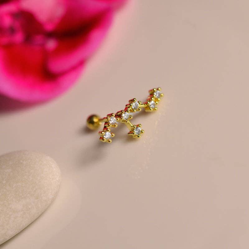 StockJWL - Wholesale Stud/Post Earrings - 12 Zodiac Earrings, Constellation Stud Earring Stud Piercing Tragus Helix Lobe and Cartilage Silver And Gold28