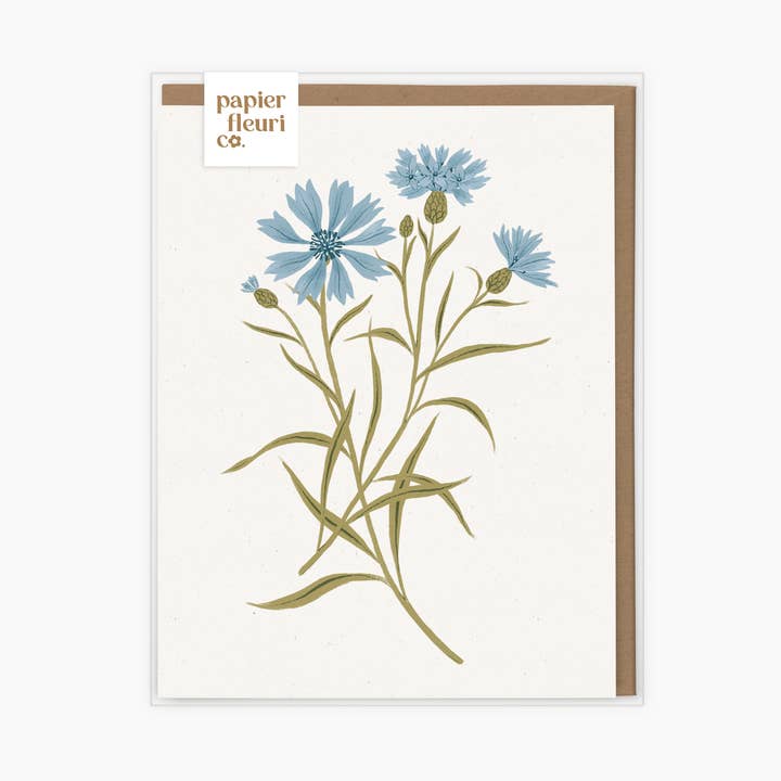 Centaurée sauvage | Coffret de 6 cartes pour la vente par Papier Fleuri Co.
