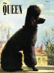 The Queen for wholesale by Clanna Cards