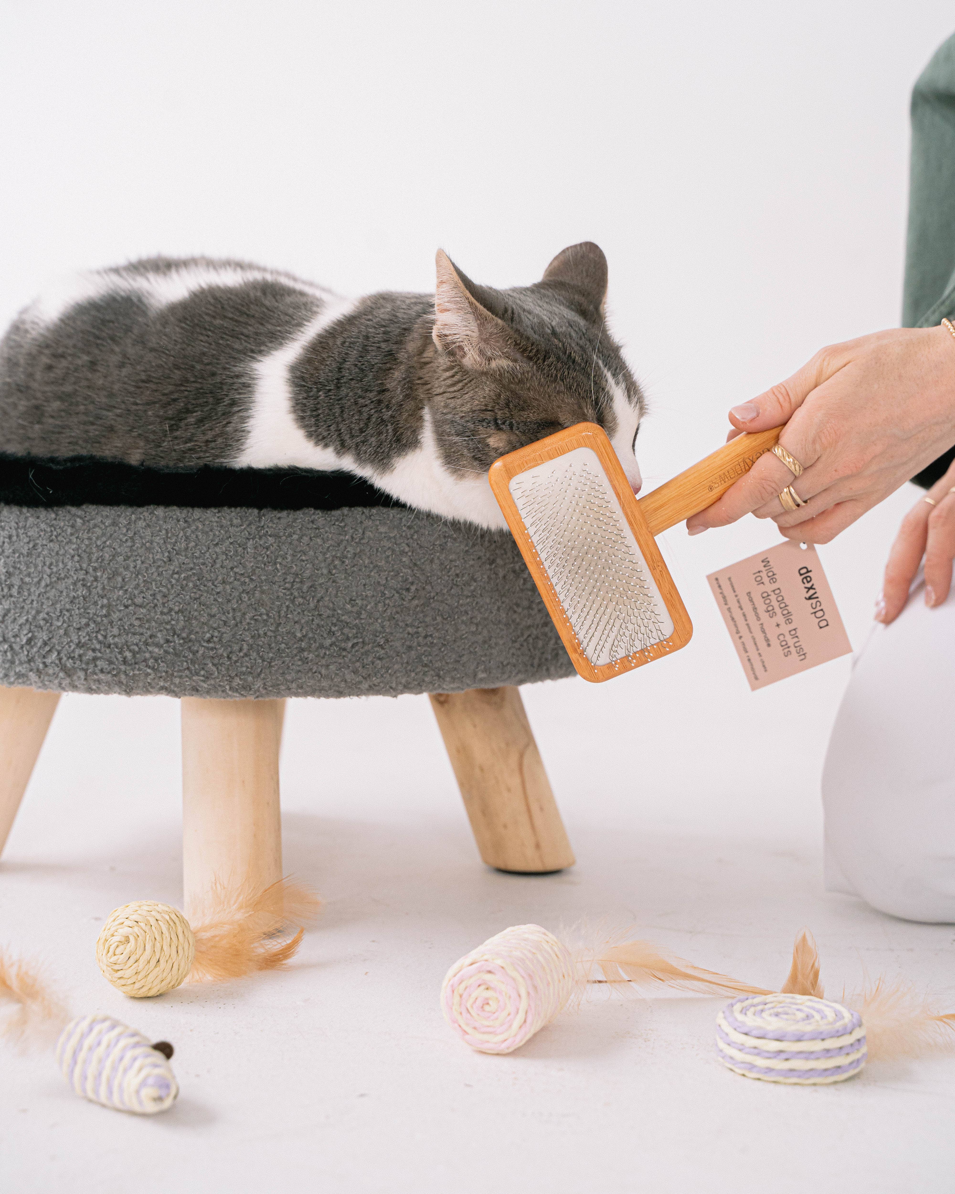 dexypaws – wholesale Pet brush – Cat/dog – Wide Paddle Brush for dogs & cats3