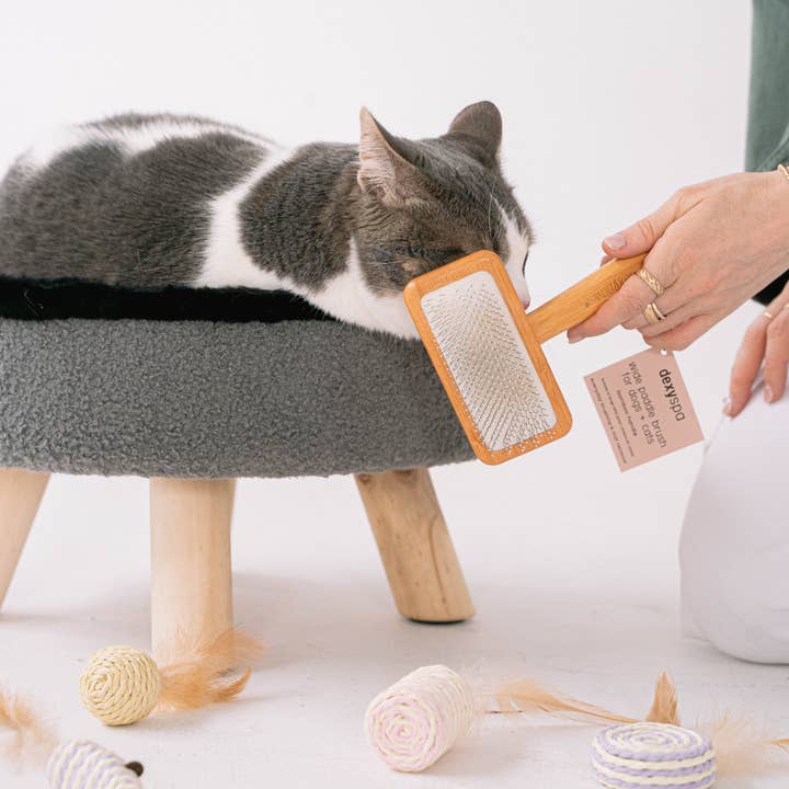 dexypaws – wholesale Pet brush – Cat/dog – Wide Paddle Brush for dogs & cats3