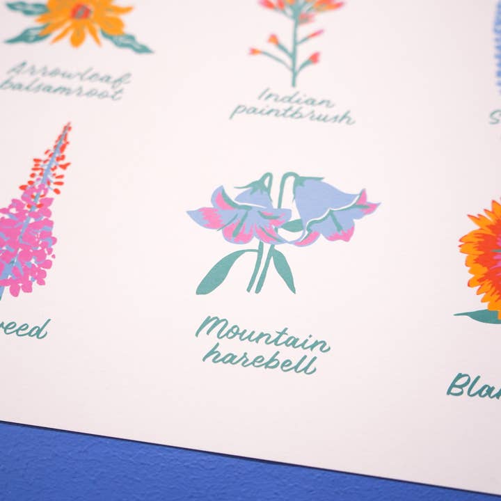 Little Known Goods - Wholesale Art Print - Colorado Wildflowers Print4
