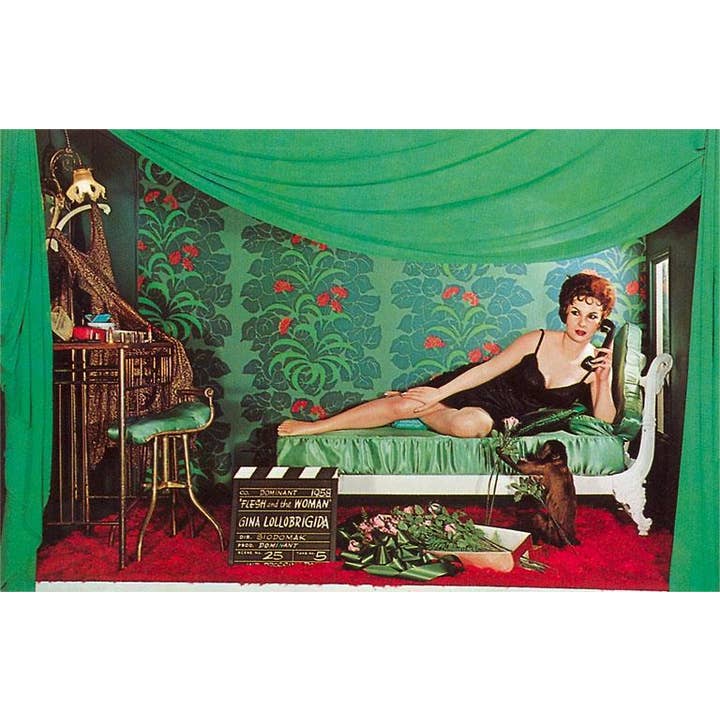 Postcard NP-20 Gina Lolobrigida with Monkey for wholesale by Found Image Press