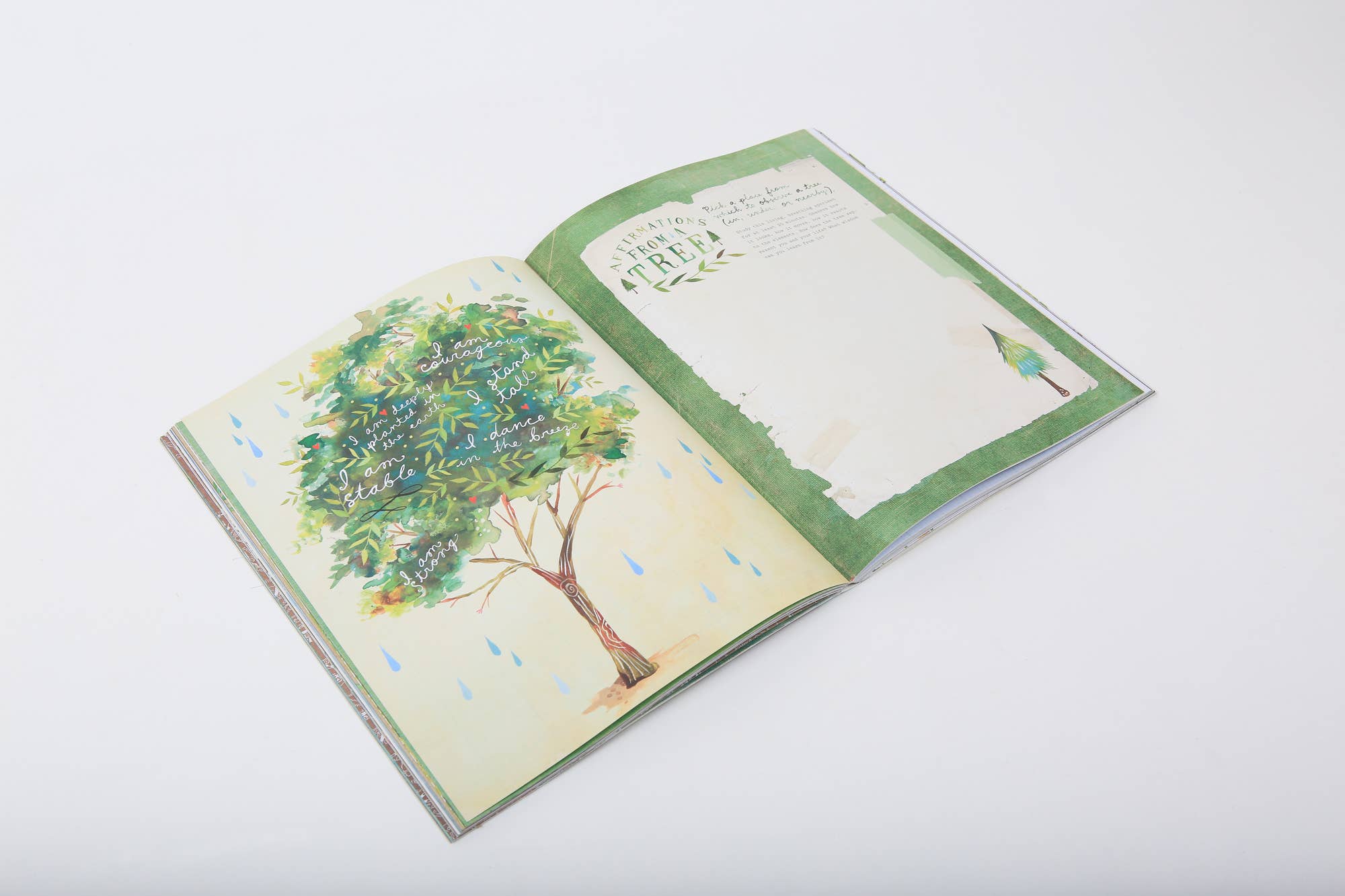 Chronicle Books - Wholesale Journal/Diary - The Wildflower's Workbook7