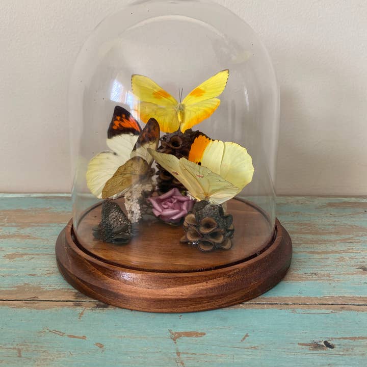 Triplet of Red / Yellow Butterflies in a Dome for wholesale by Newman Art Designs