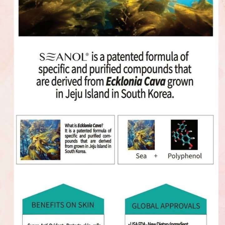 Bean Park - Wholesale Facial Serum/Concentrate - Seanol S.A.F. #1 Facial Essence