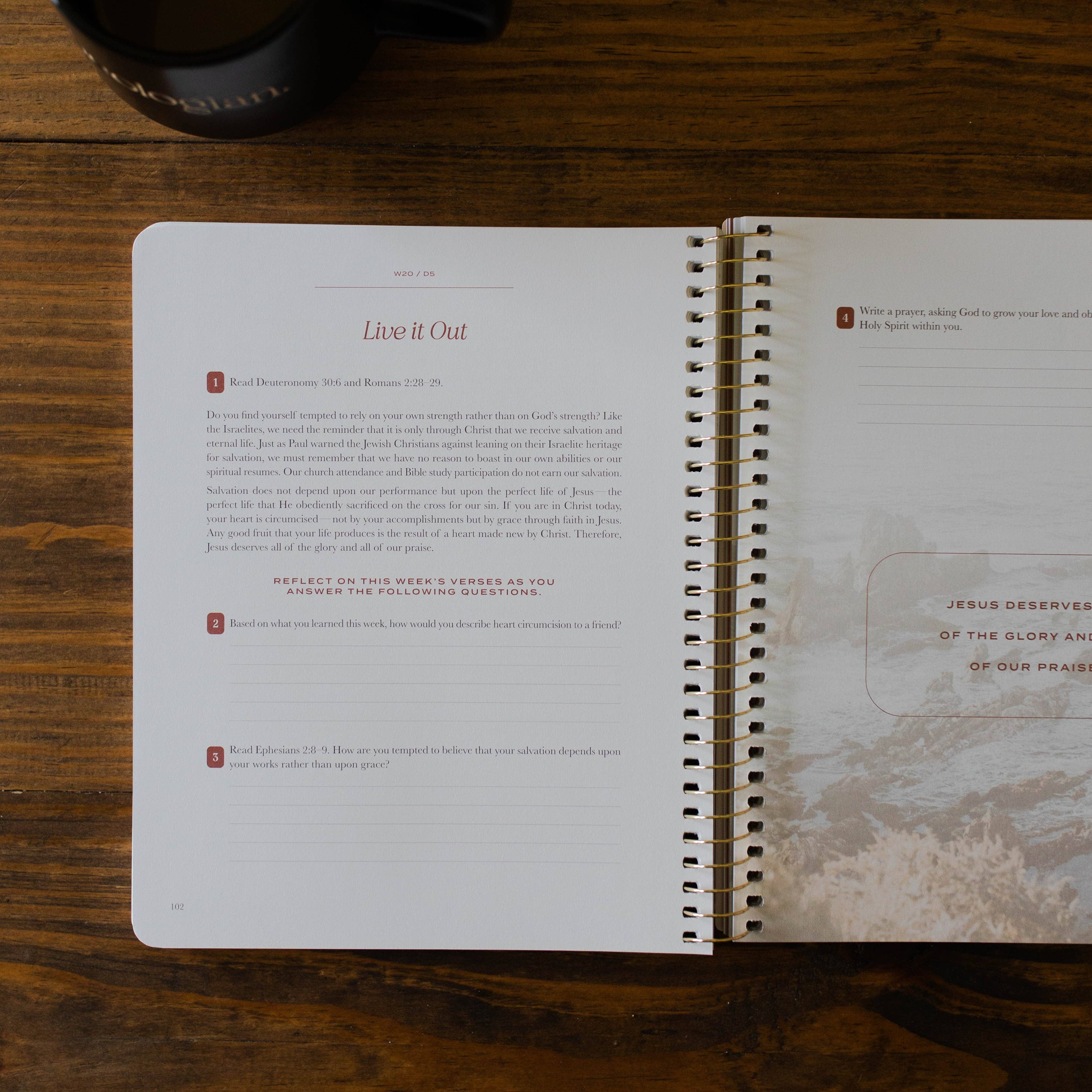 The Daily Grace Co - Vente Religion - Le Christ dans toutes les Écritures | Volume 2 | Hommes5