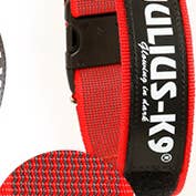 Collar with security closure 40mm for wholesale by K9 Shop