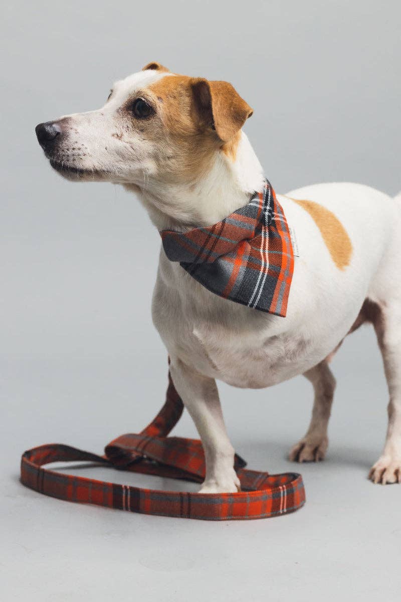 Barkley and Fetch - Wholesale Hondenbandana - Hond - Oranje en grijze tartan hondenbandana2