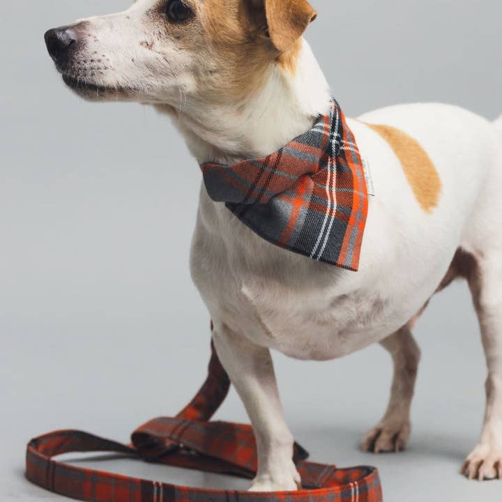 Barkley and Fetch - Wholesale Hondenbandana - Hond - Oranje en grijze tartan hondenbandana2