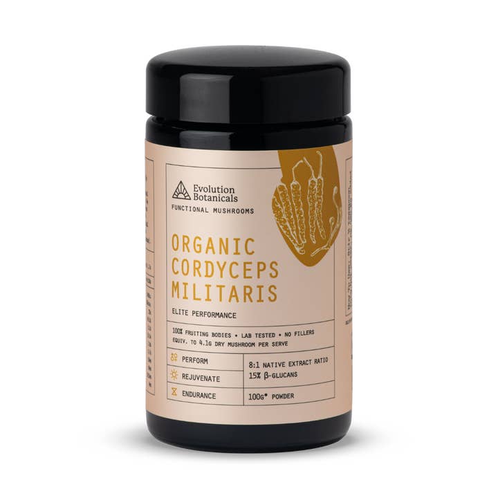 Organic Cordyceps Militaris for wholesale by Evolution Botanicals