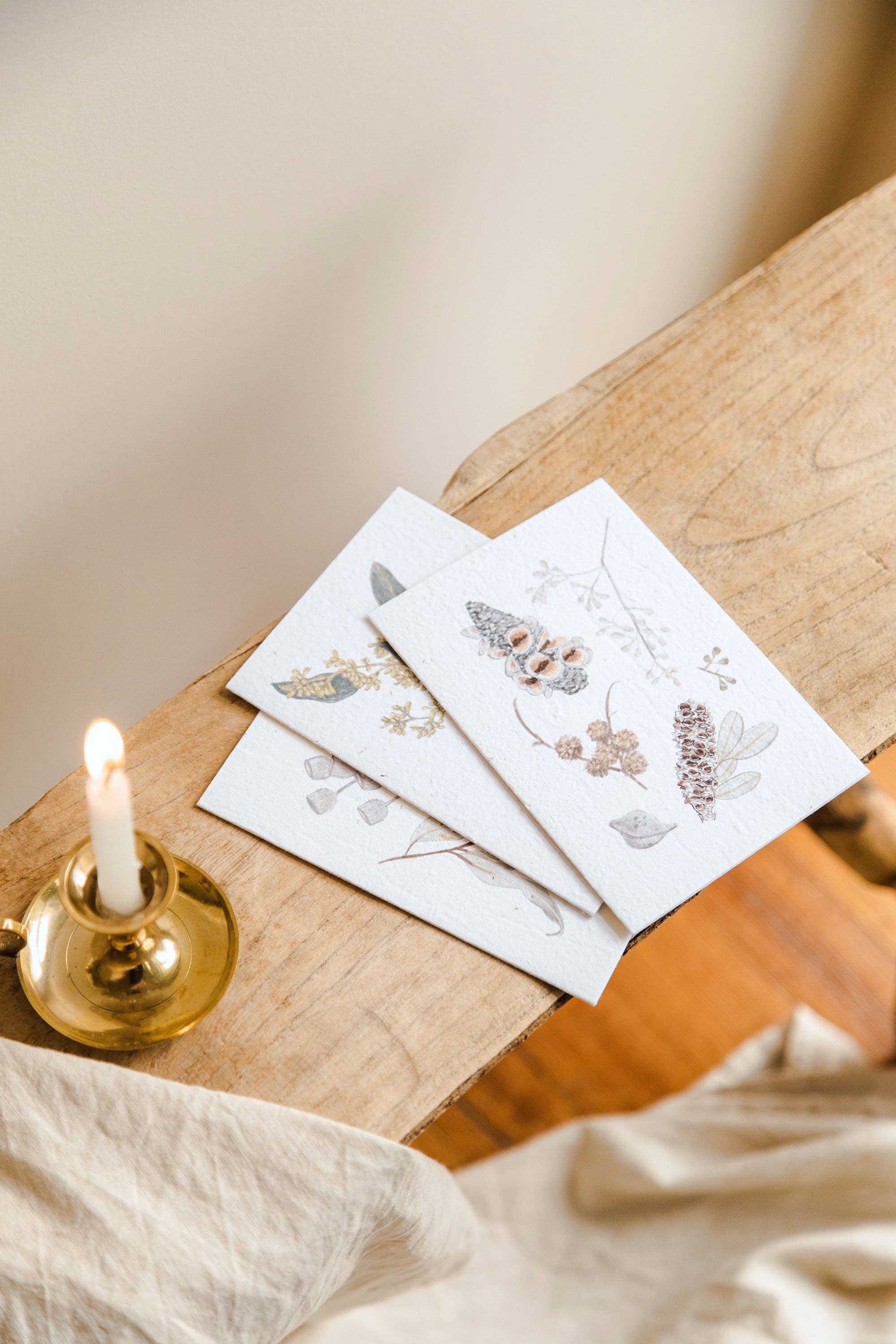 treasureinventory - Venta al por mayor Tarjetas de felicitación - Botánicos Australianos // Tarjetas Plantables // Paquete de 27 Tarjetas6