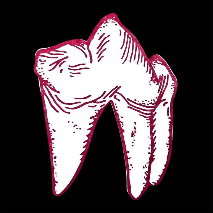 Fox Tooth - Letterpress and Die Cut Greeting Card for wholesale by Salted Teeth