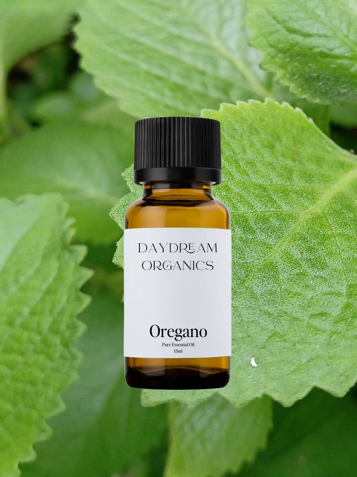 Oregano Essential Oil for wholesale by Daydream Organics | Prairie Doctor Brand