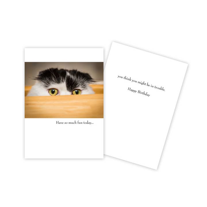 Späende Katze Lustige Geburtstagskarte für den Großhandel von Sun Day Greetings