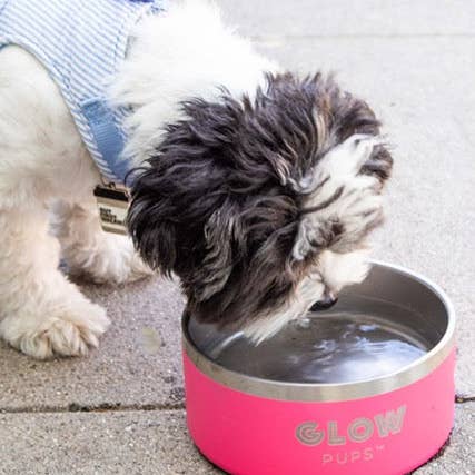 Glow Pups – Großhandel Futternapf – Katze/Hund – Hundenapf aus Edelstahl, hellrosa, 32 Unzen und 64 Unzen1