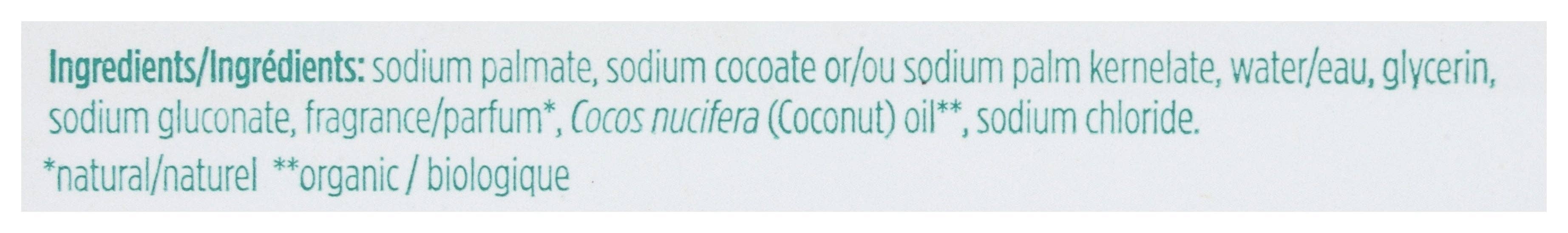 Everyday Supply Co - Wholesale Bar Soap - TOMS OF MAINE SOAP BAR COCONUT - Case of 32