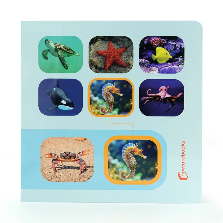 Seek & Find: Marine Animals - Wordless photo book for wholesale by Nowordbooks