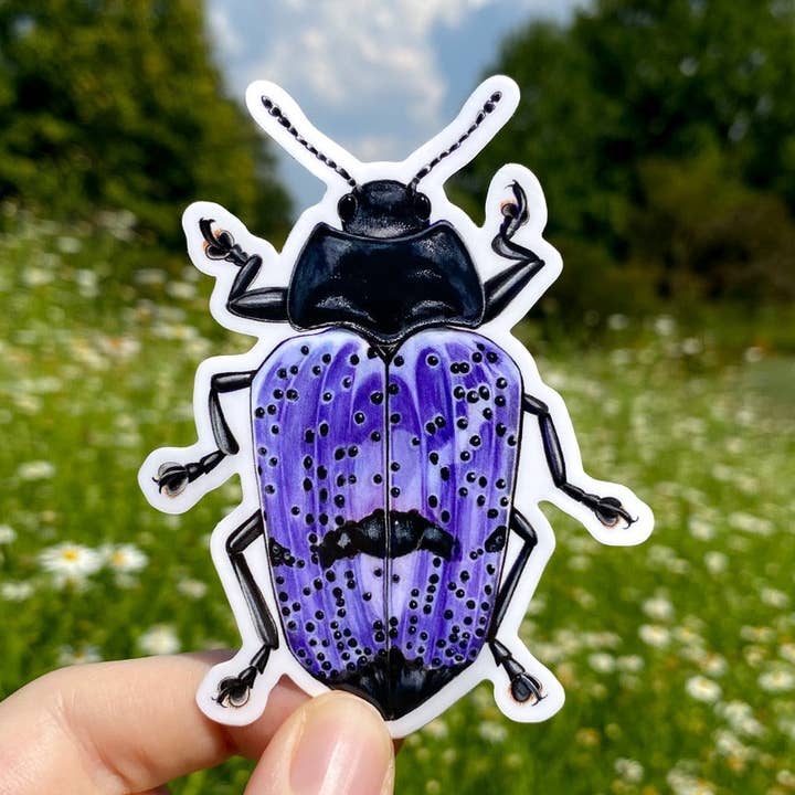 Gibbifer Pleasing Fungus Beetle Vinyl-Aufkleber, wetterfest für den Großhandel von Allison Stoiser Art