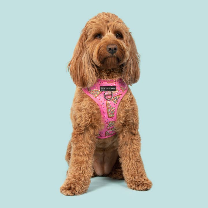 Big and Little Dogs - Wholesale Pet Harness - Dog - ADJUSTABLE DOG HARNESS: Pink Fairy Bread