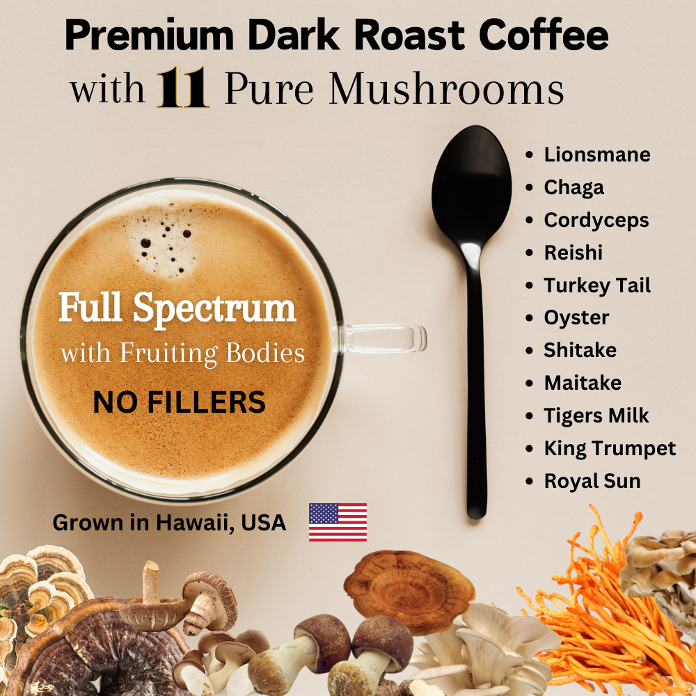 OHM Cacao – wholesale Instant coffee/espresso – OhmYes 11:11 | Mushroom Coffee + Cacao | 99 Servings - 7oz3