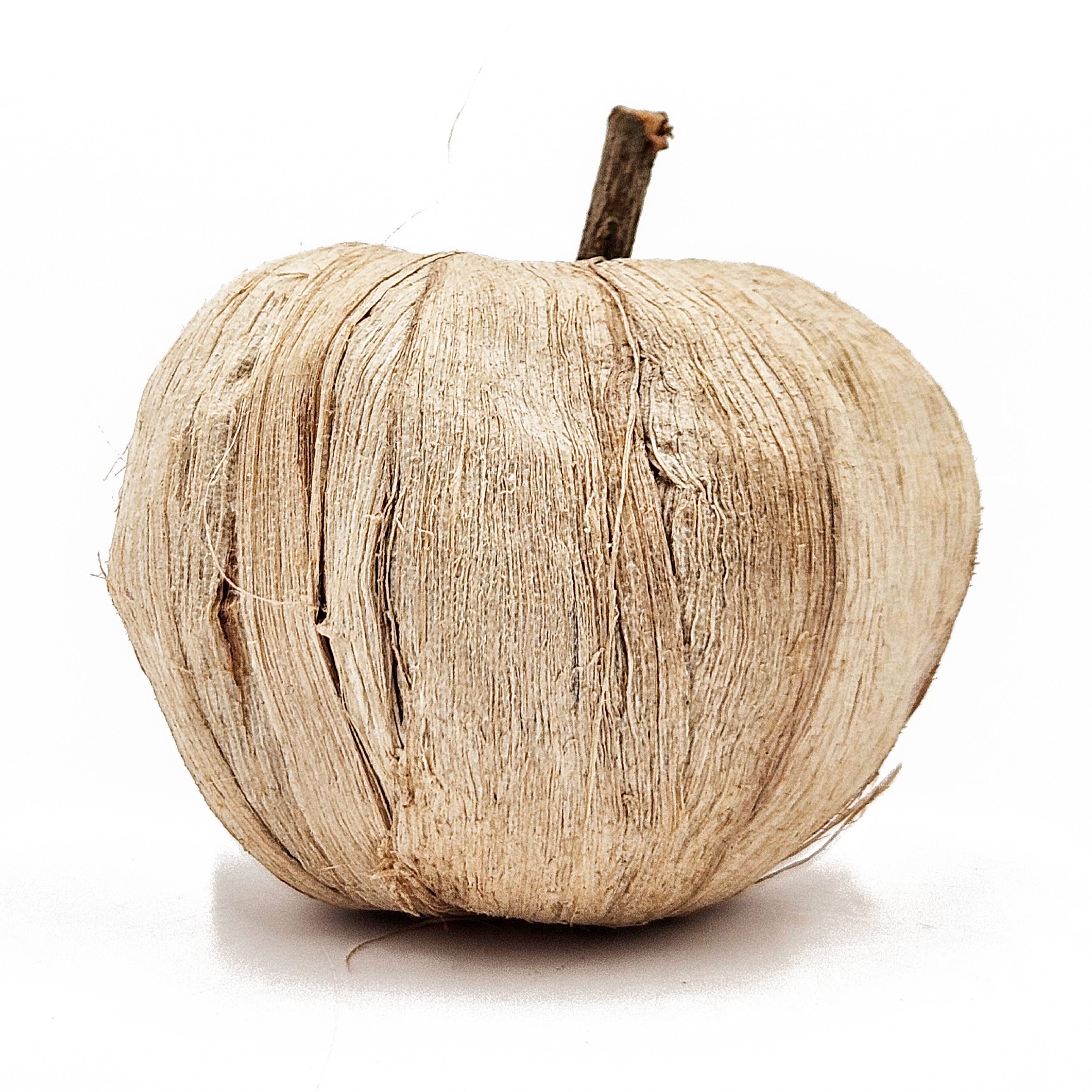 A&B Home Group Inc. - Wholesale Decorative Tabletop Object - 8.5" 10Pcs/Bag Pumpkin Pod Decor 12BAG/CTN2