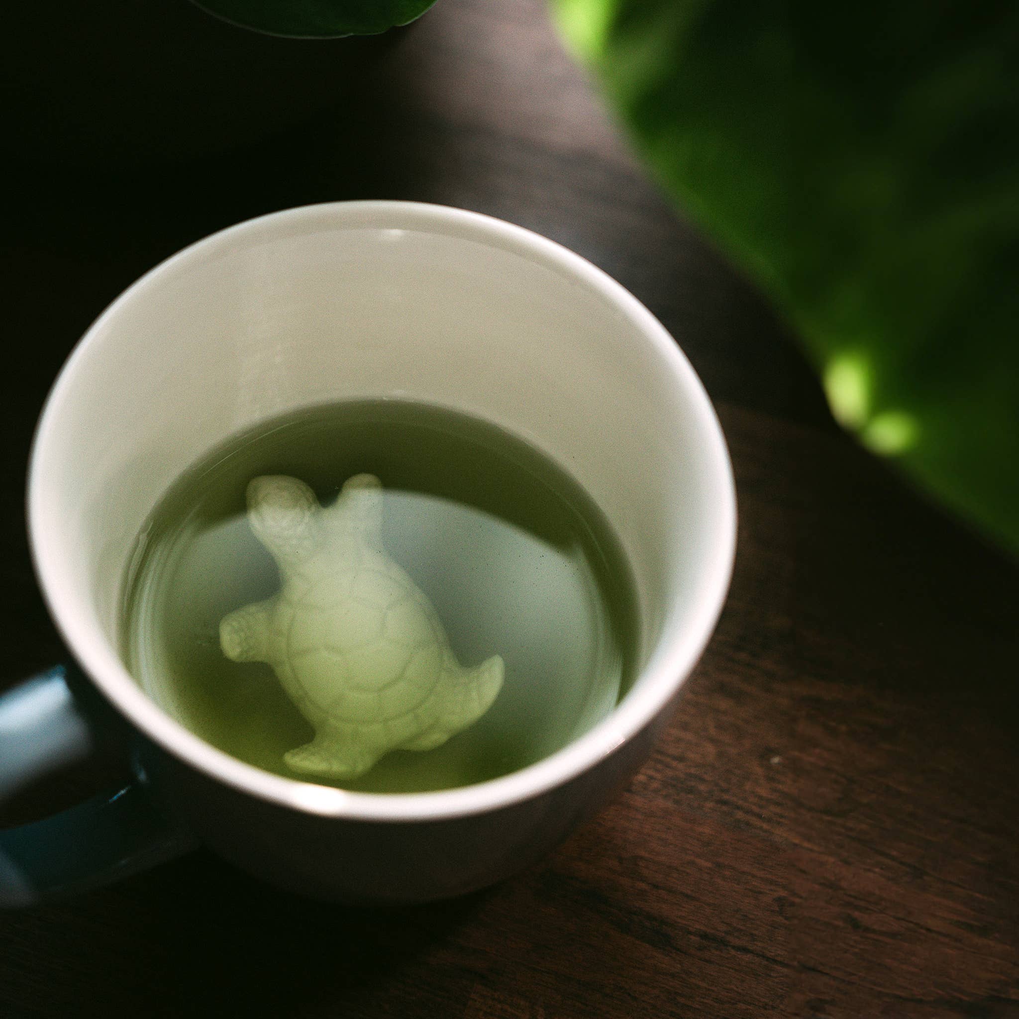 blass blau Schildkröte | Keramik-Überraschungsbecher-Geschenk (11 oz. Hellblau) für den Großhandel auf Faire5