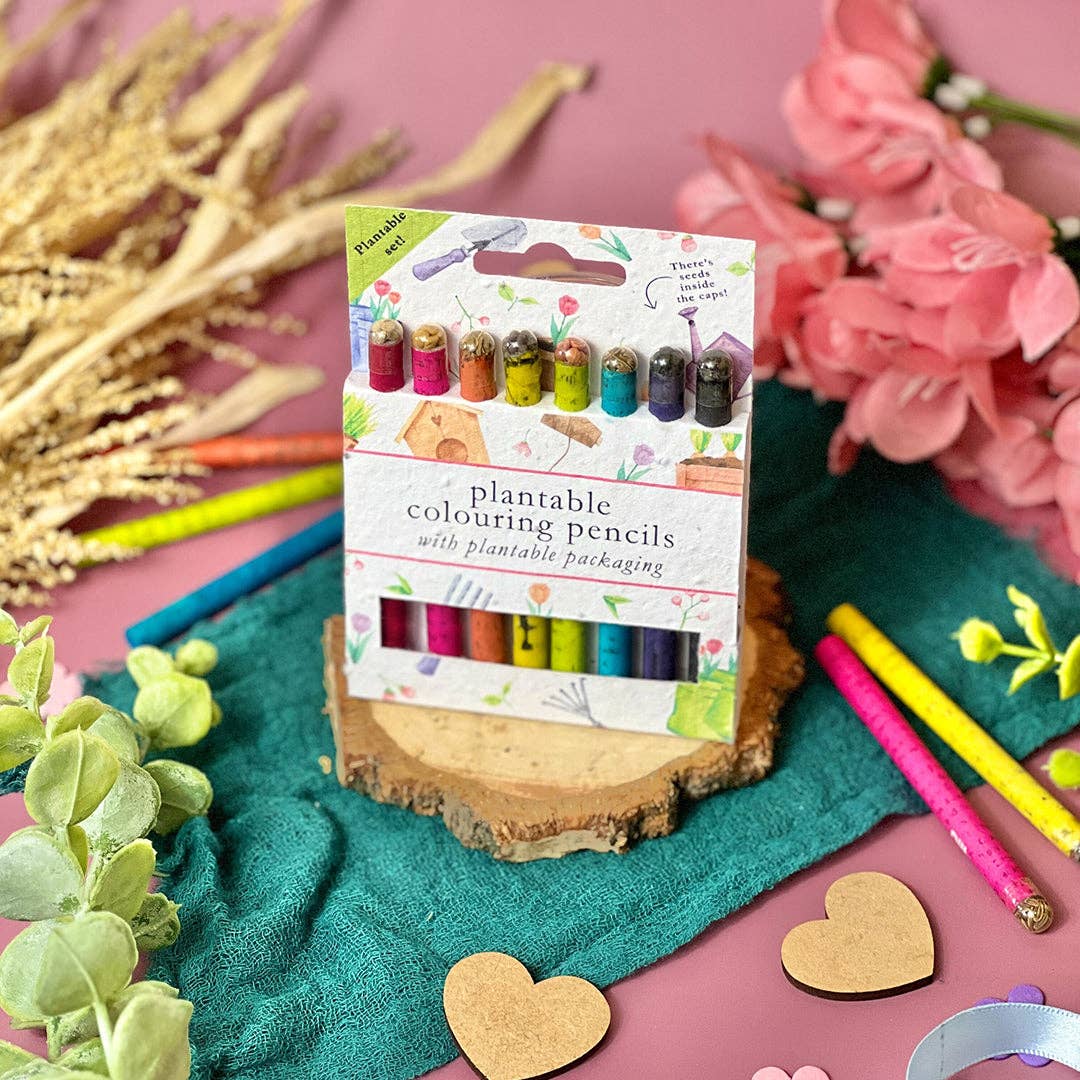 Little Green Gifts – wholesale Coloured pencil – Colouring Pencils - Choice Of Designs (TU-6)5