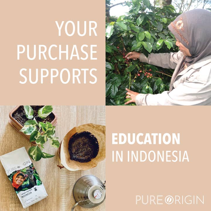 Pure Origin Coffee – Großhandel Kaffeebohnen – Single Origin Bio Fair Trade Indonesischer Kaffee-Ganze Bohnen2