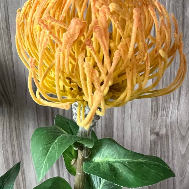 Angel Isabella - Wholesale Artificial Flowers - 29"Large Artificial Saffron Pincushion Needle Protea