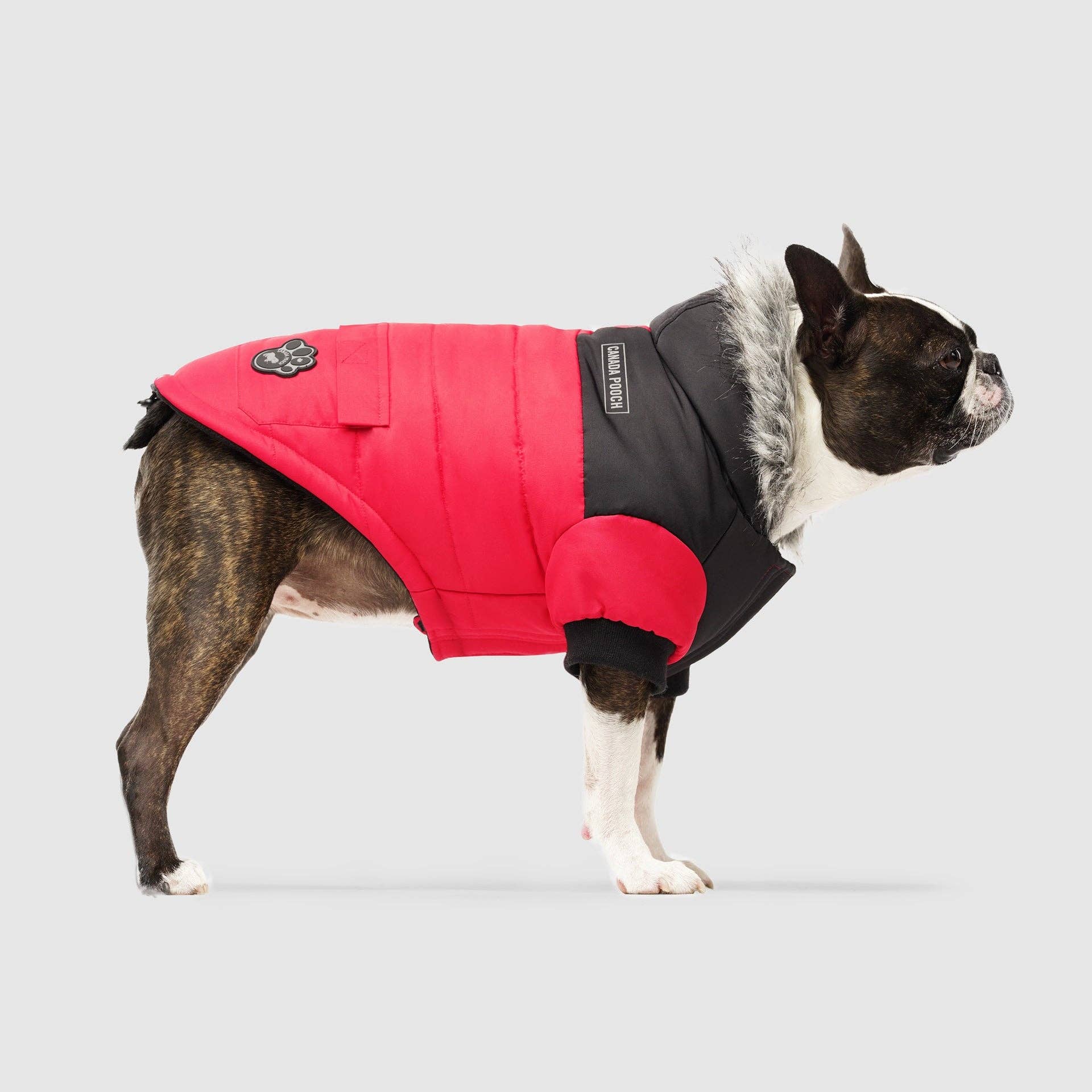 Canada Pooch - Vendita all'ingrosso Cappotto - Cani - Parka invernale True North per cani5