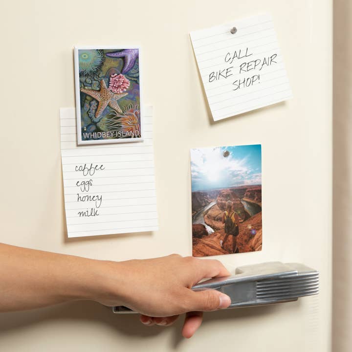 Lantern Press - Wholesale Magnet - MAGNET Whidbey Island, Washington, Tidepool1