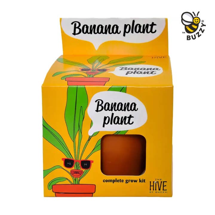 Buzzy Grow Gifts - Wholesale Plant Seeds - Exotic Banana Plant Grow Kit – Indoor Tropical Gift Set