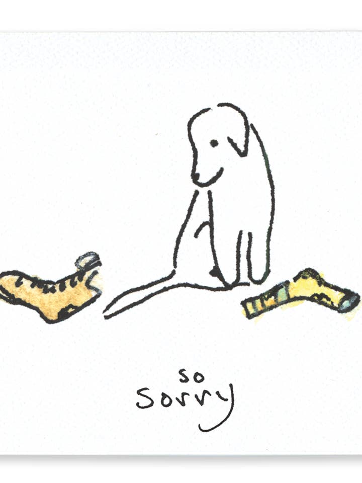 So Sorry, tarjeta de papel reciclado con el mensaje «Lo siento», interior en blanco para venta al por mayor de Rosie’s Wonders Connection Cards