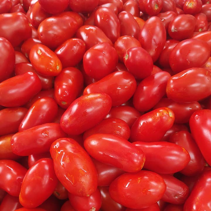 Cocco Food - Wholesale Pasta Sauce - Organic hand-peeled tomato 370ml - Ideal for Pasta2