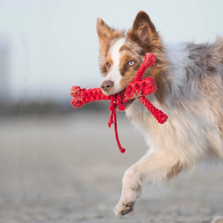 LABONI - Volentis GmbH - Wholesale Pet Rope Toy - Dog - HUGO HUMMER – Smart Play, Strong Chew3