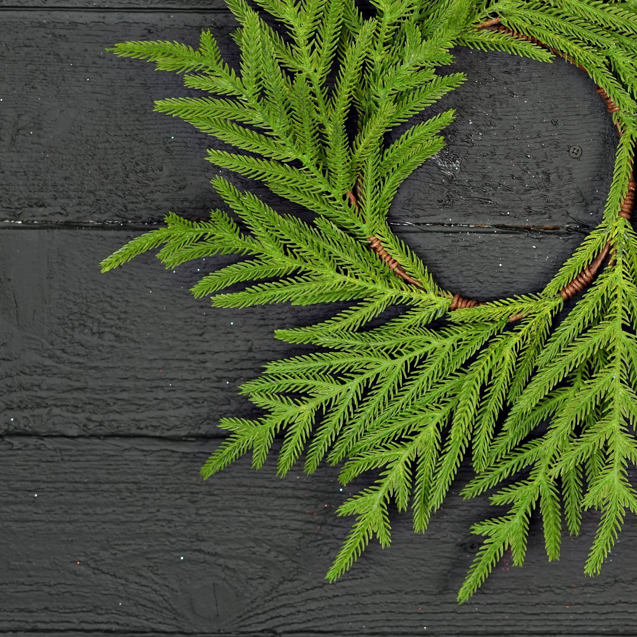 Holiday Depot Inc. - Wholesale Wreath - 510702- 18in(6.5)Wreath-Soft Touch Evergreen Norfolk Pine-1