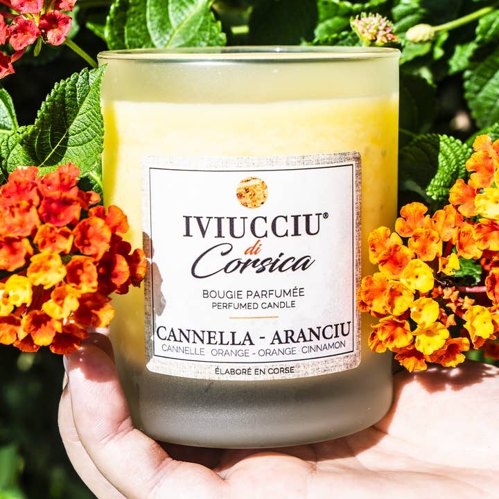 100% vegetable candle Cinnamon Orange for wholesale by Iviucciu Di Corsica