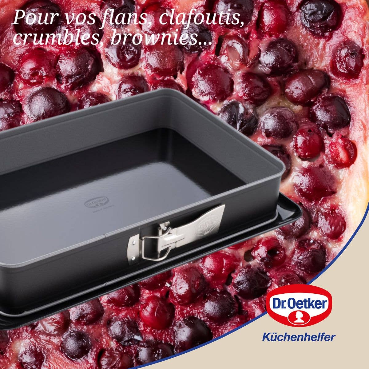 Zenker - Wholesale Baking Dish - Cake mold and baking dish 38 x 25 x 7 cm Dr Oetker Back-Idee Kreativ4