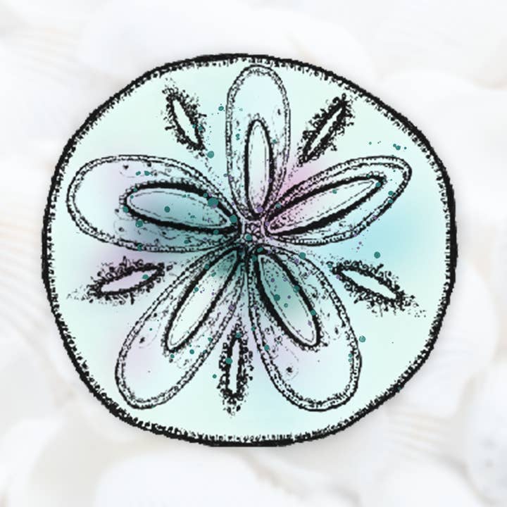 Sand Dollar Sticker, 3” Sea Creature Sticker, Beach Decal for wholesale by Katekreates