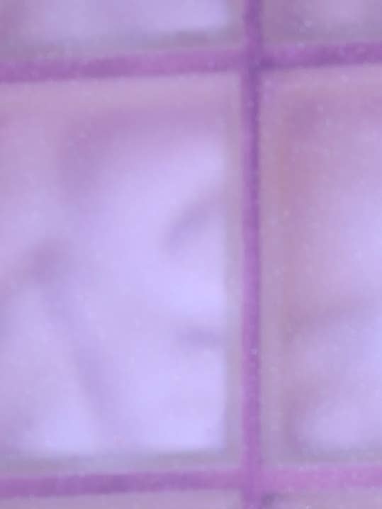 Betty Lounge Bra for wholesale by The Disco Dolls Designs