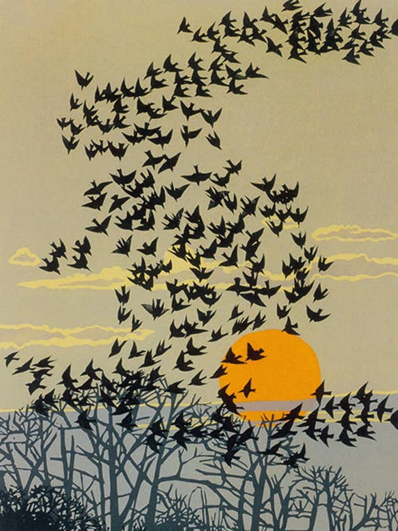 BLANK GREETING CARD AERIAL MANEUVERS M&G for wholesale by Notes & Queries, Inc.